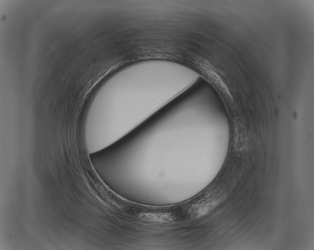 X0000087580251200704271052