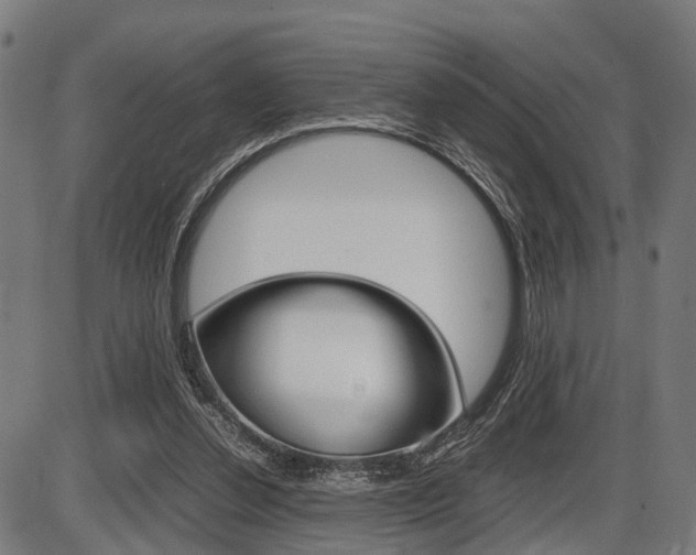 X0000087580252200704271052