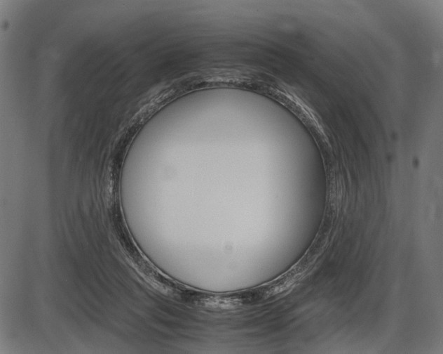 X0000087580261200704271052