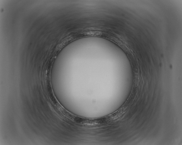 X0000087580263200704271052