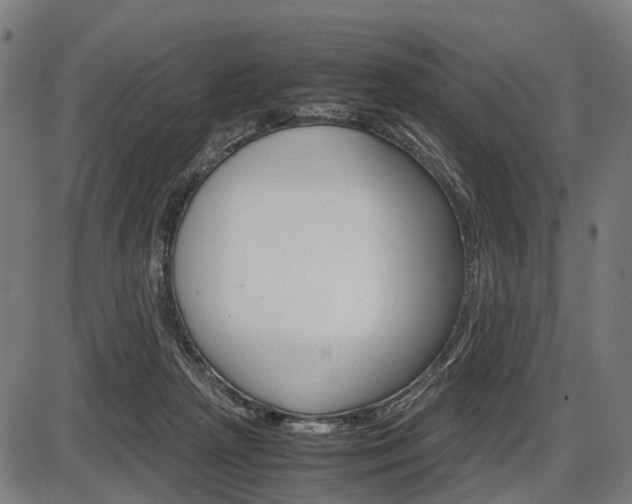 X0000087580265200704271052