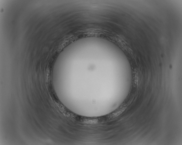 X0000087580283200704271053