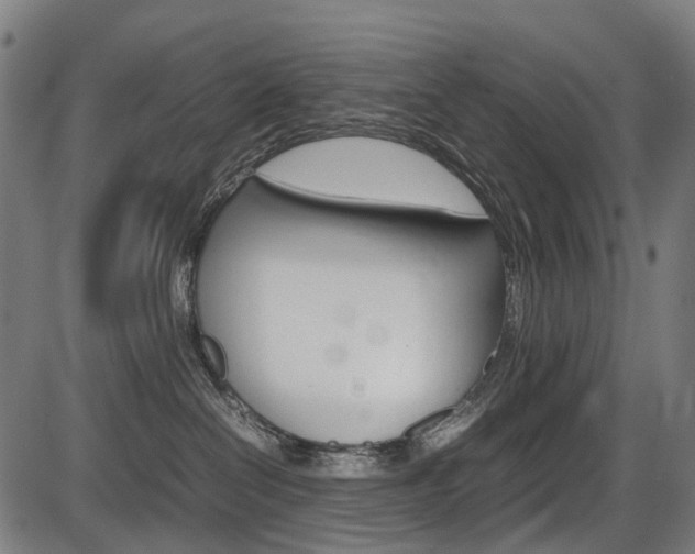 X0000087580286200704271053