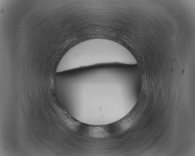 X0000087580287200704271053