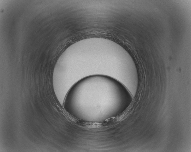 X0000087580288200704271053