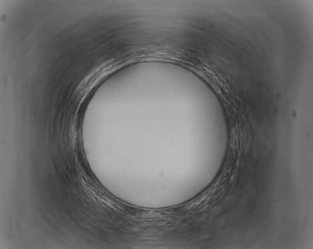 X0000087580290200704271052