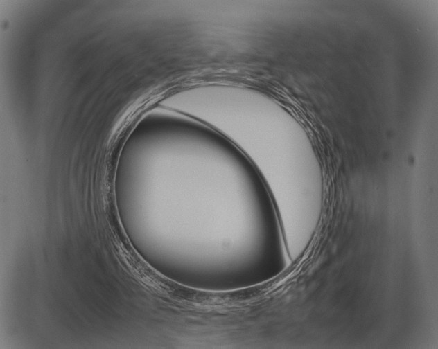 X0000087580293200704271052