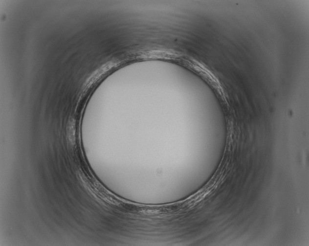 X0000087580298200704271052