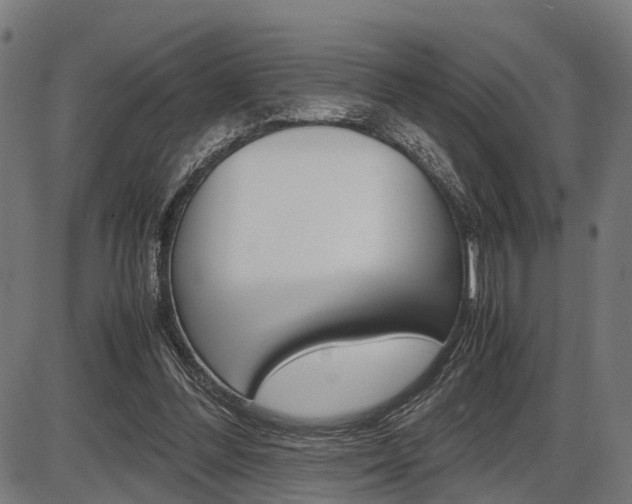 X0000087580300200704271052