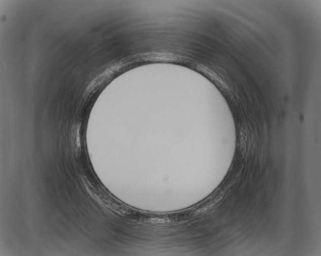 X0000087580302200704271052
