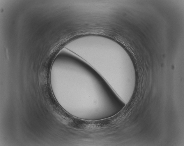 X0000087580303200704271052