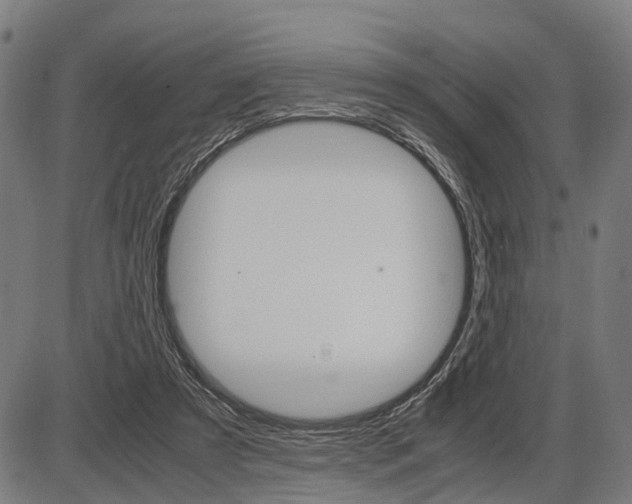 X0000087580305200704271052