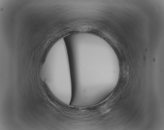 X0000087580307200704271052