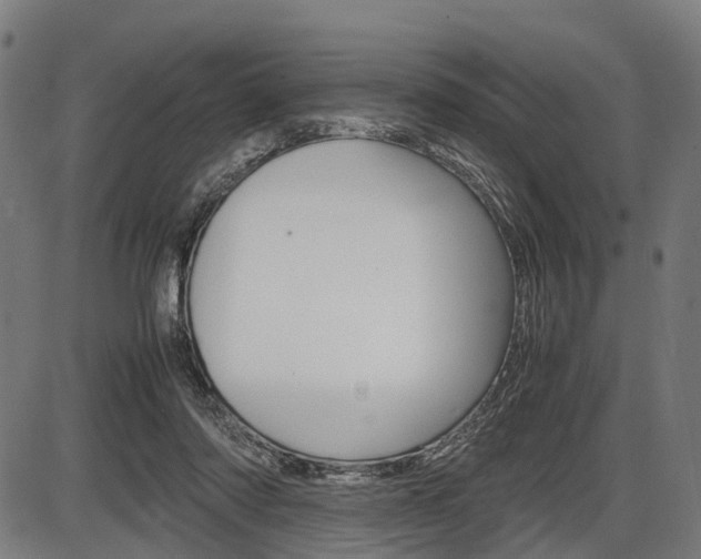 X0000087580310200704271052