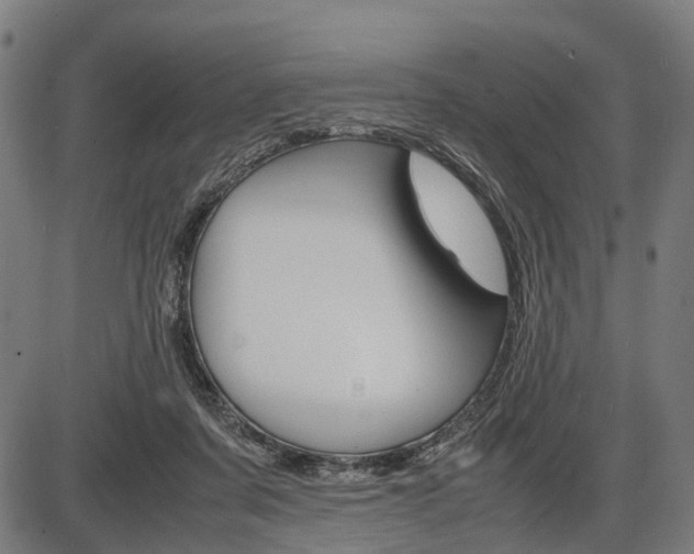 X0000087580311200704271052