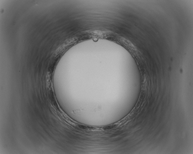 X0000087580318200704271051