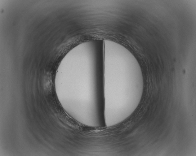 X0000087580320200704271051