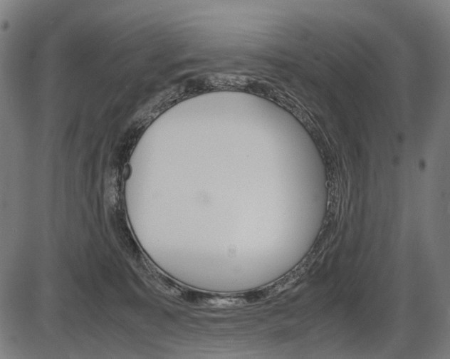X0000087580323200704271051