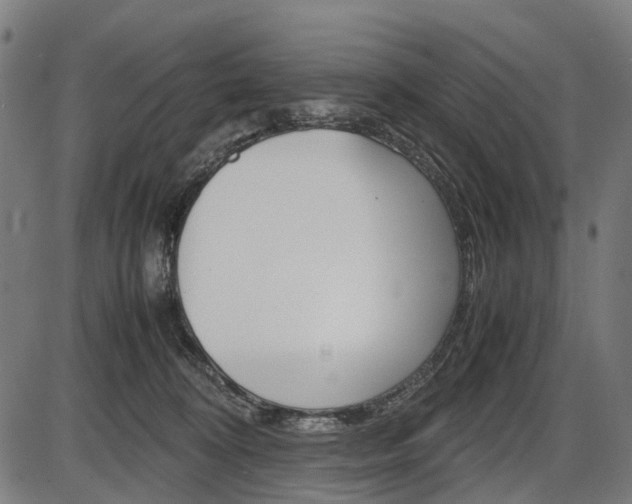 X0000087580324200704271051