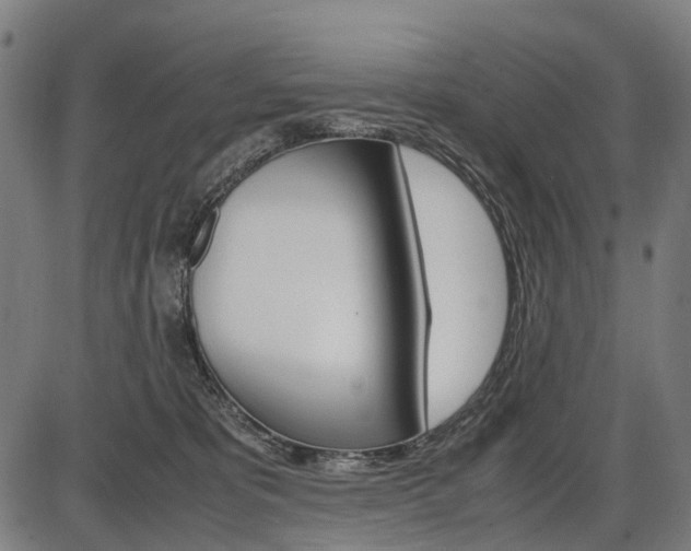 X0000087580325200704271051
