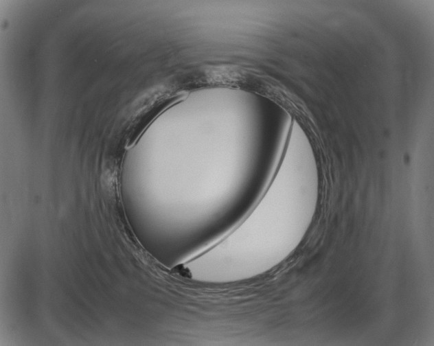 X0000087580329200704271051