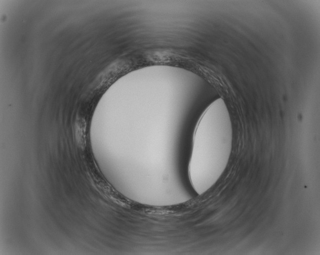 X0000087580332200704271051