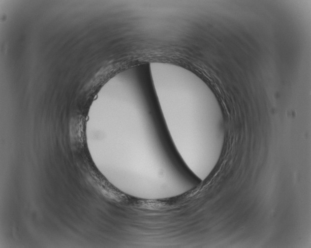 X0000087580336200704271051