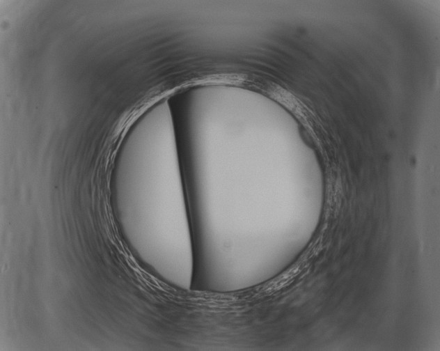 X0000087580337200704271050