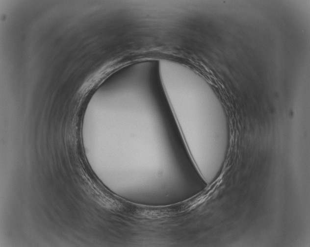 X0000087580341200704271050