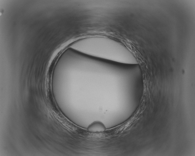 X0000087580342200704271050