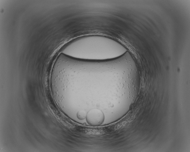 X0000087580347200704271051