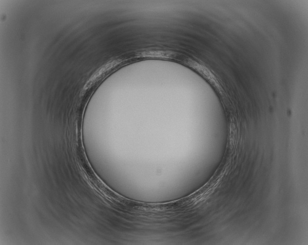 X0000087580349200704271051