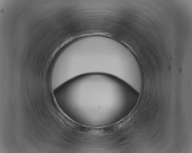 X0000087580350200704271051