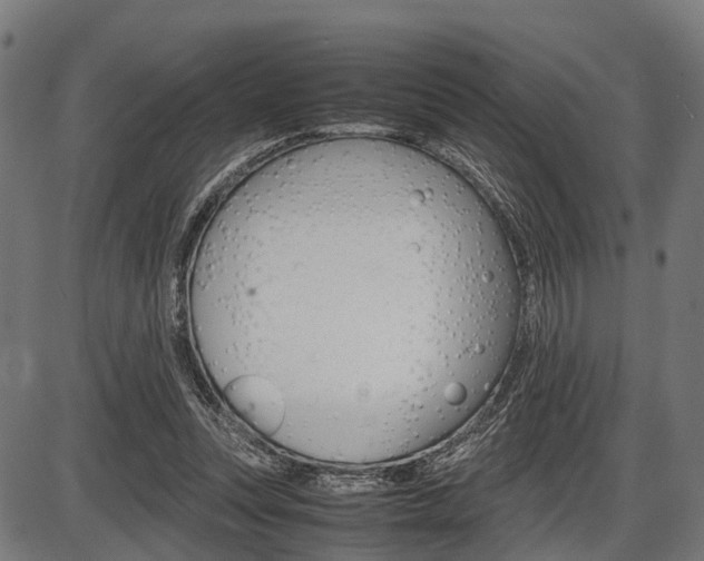 X0000087580351200704271051