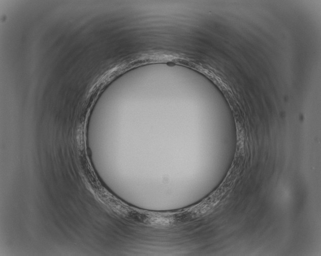 X0000087580352200704271051