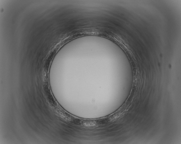 X0000087580355200704271051