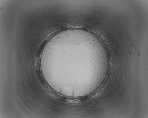 X0000087580359200704271051