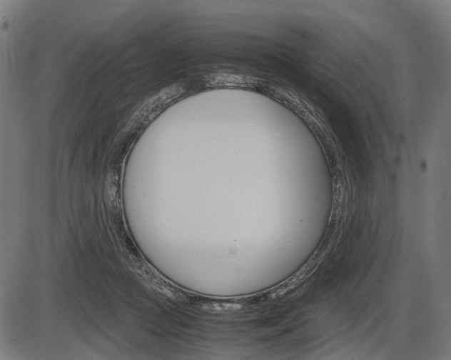 X0000087580361200704271051