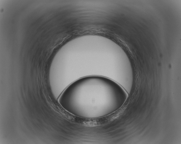 X0000087580362200704271051
