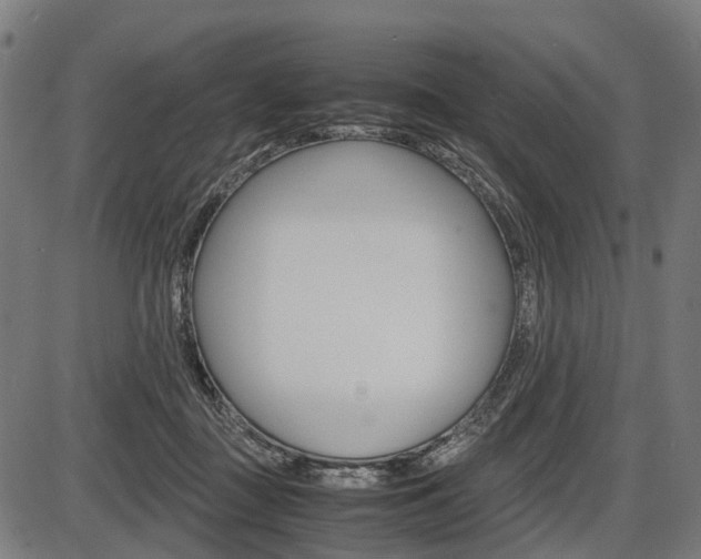 X0000087580363200704271051