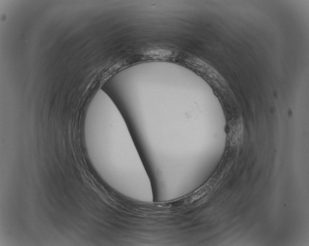 X0000087580365200704271051