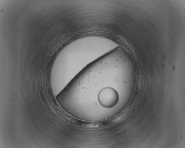 X0000087580366200704271051