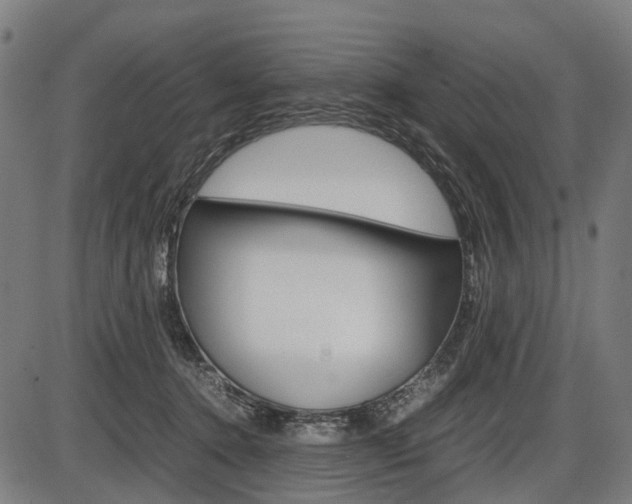 X0000087580368200704271051