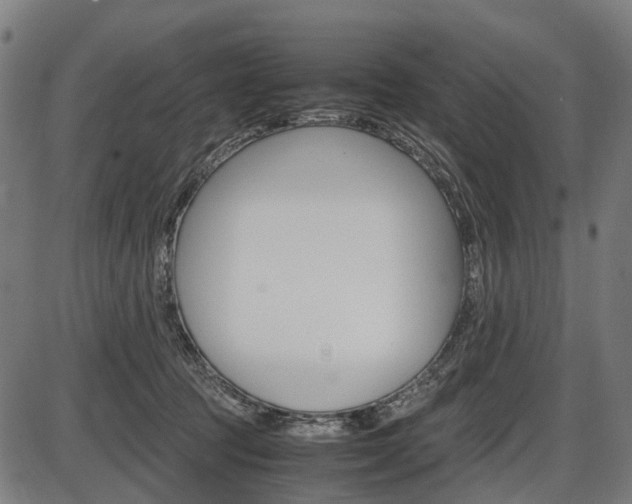 X0000087580369200704271051