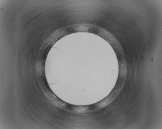 X0000087580370200704271051