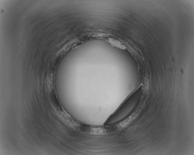 X0000087580376200704271051