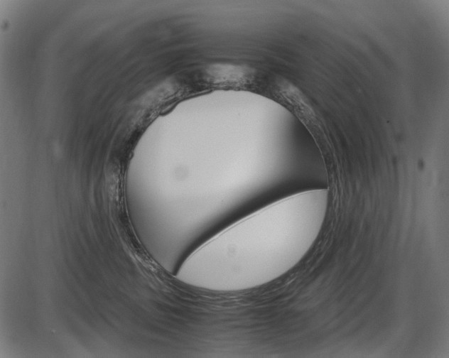 X0000087580379200704271051