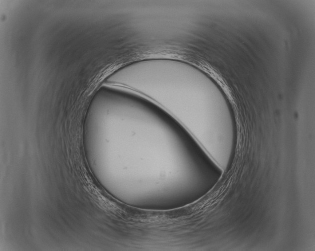 X0000087580385200704271050