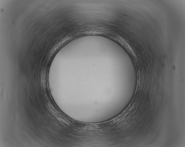 X0000087580386200704271050