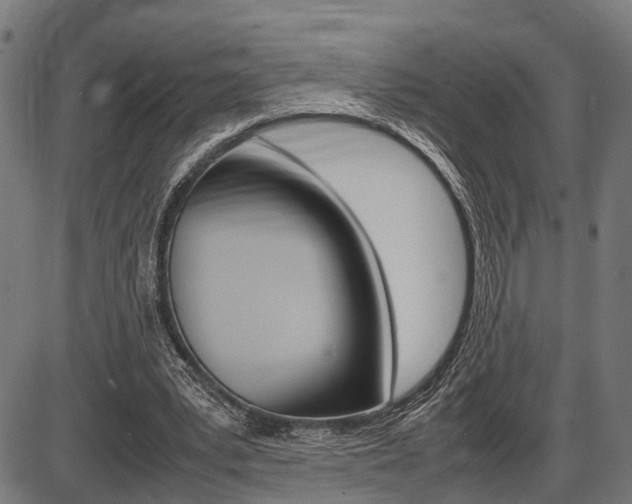X0000087580391200704271050